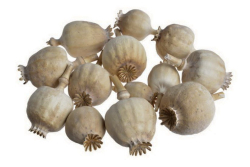 Hlavičky - makovice natural různé velikosti 20ks
